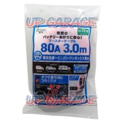 Daiji
BT-21
Booster cable
80A3m