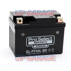ProSelect
GL-PTX4L-BS gel battery
YTX4LBS/FTH4LBS compatible PSB111
