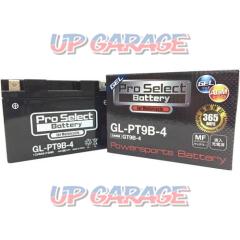 ProSelect
GL-PT9B-4 gel battery
GT9B-4 compatible PSB117