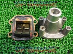 Removed from Passol (year unknown)
genuine reed valve + intake
Engraved 2E9-02?-3