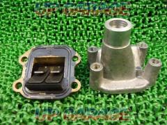 Removed from Passol (year unknown)
Genuine
Reed valve
+
Intake