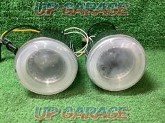 Wakeari
Unknown Manufacturer
Squid with projector fog lamps