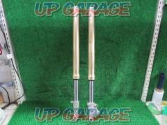 Genuine KAWASAKI
Front fork
KSR110 (year unknown) removed
