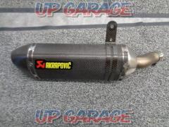 AKRAPOVIC (Akurapo Vittorio h)
Carbon slip-on silencer
NINJA250
EX250L