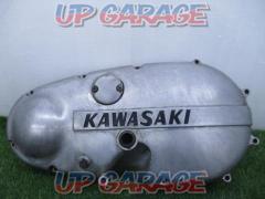 W3
Kawasaki
Genuine primary cover