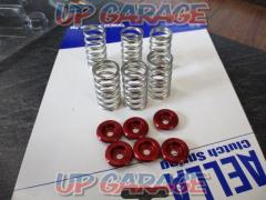 Aella
AE-23007
Clutch spring kit
Compatibility: 1098(’07) and others