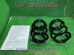 Price reduced!! BLITZZZ-R replacement spring
30 Series Alphard/Vellfire (rear)