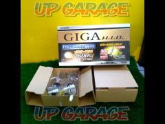 CAR-MATE
HID kit for GIGA fog lamps