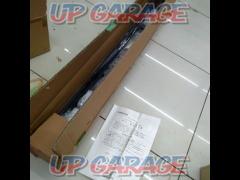Nissan genuine roof carrier