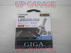 Carmate
GIGA
BW564
LED head valve
C3600
HIR2
Unused
X03297
