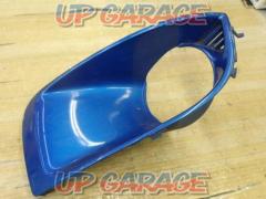 Subaru genuine fog cover only on the left side