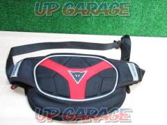 D-EXCHANGE POUCH L  DAINESE(ダイネーゼ)