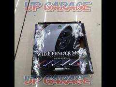 Moment Wide Fender Molding
Silver