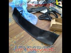Unknown Manufacturer
carbon
Rear wing