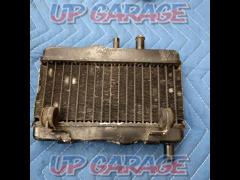 NSR50 the previous fiscal year
Genuine radiator