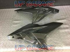 Carbony
BMW
S1000R
2014-2018 model years
carbon
Side cowl
Right and left