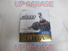 CARMATE
GIGA
LED Head &amp; Fog valve
S6000 series
(X04335)