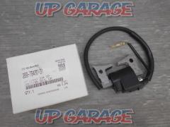 Pleiades
Ignition coil
Product number: 269-79430-31