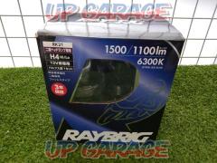RAYBRIG Raybrig
RK 21
LED
Headlight