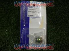 KIJIMA105-189
Wire lock drain bolt
RGV250γ (gamma)