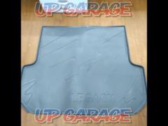 Pleiades
Legacy genuine luggage mat