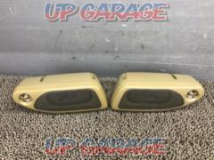 Unknown Manufacturer
Place type speaker