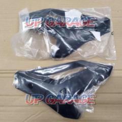 BMW
Engine spoiler set (left and right)
S1000R ('13-'16)