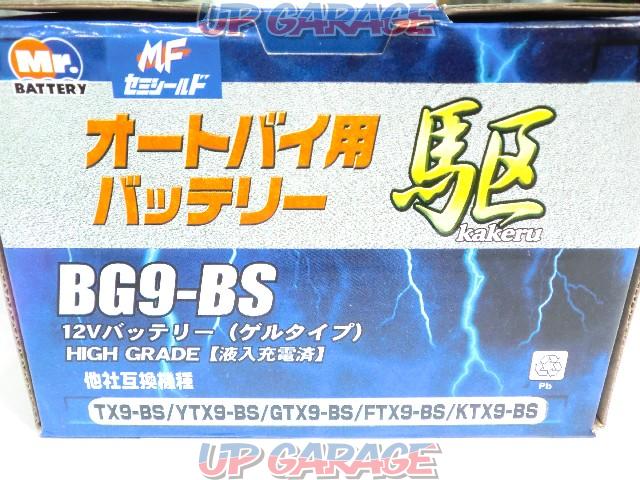 Mr.battery
Driving
BG9-BS
Gel-type (already charged)
Rehydration unnecessary-02