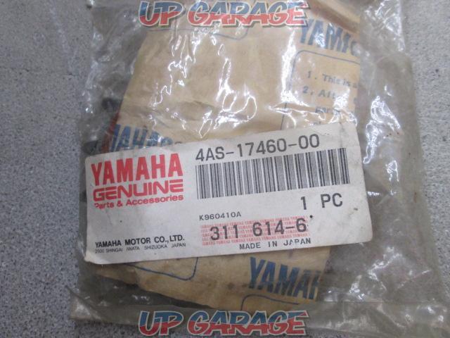 Wakeari
Yamaha genuine
front
Sprocket
TRX850
4AS-17460-00-02