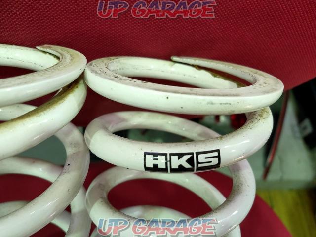 HKS
Series winding spring
Left and right set for rear
General purpose
white-03