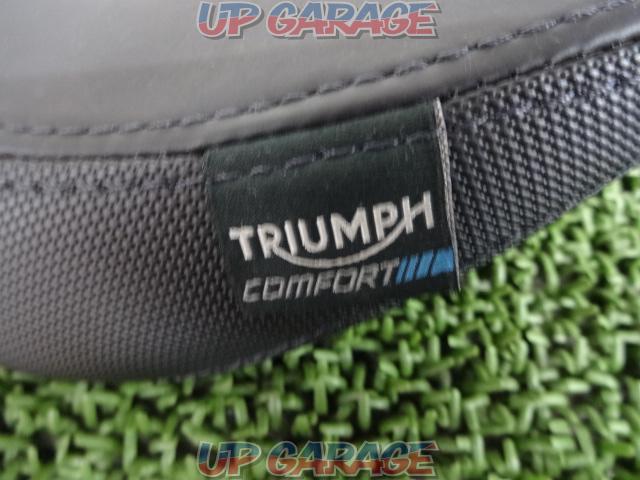 Triumph
Comfort
Rider seat
Daytona 675 / 675R (year unknown)-04