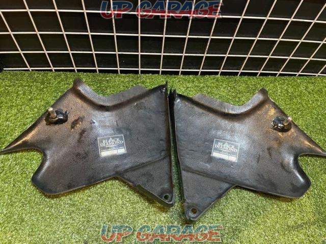  A-TECH (Etekku)
Carbon side cover left and right set
CB 1300 SF removal-09