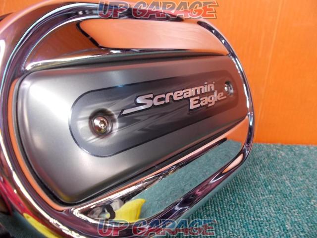 Screen Min Eagle
Ventilator air cleaner kit
Softail / Touring model-02