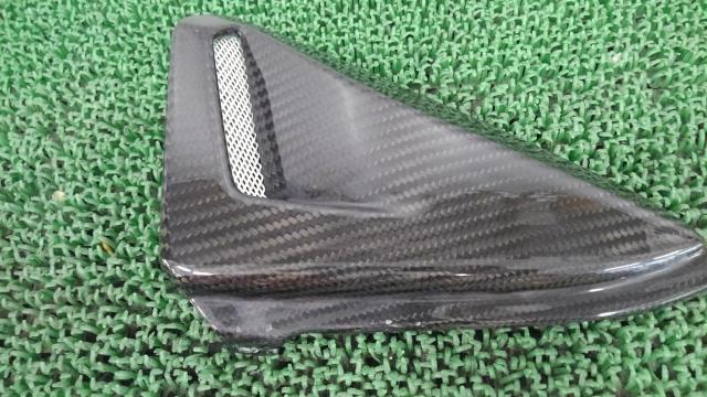 Unknown Manufacturer
Dry carbon
Side cover
CB1000R (SC60)-04