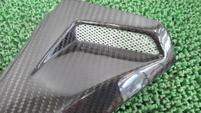 Unknown Manufacturer
Dry carbon
Side cover
CB1000R (SC60)-06