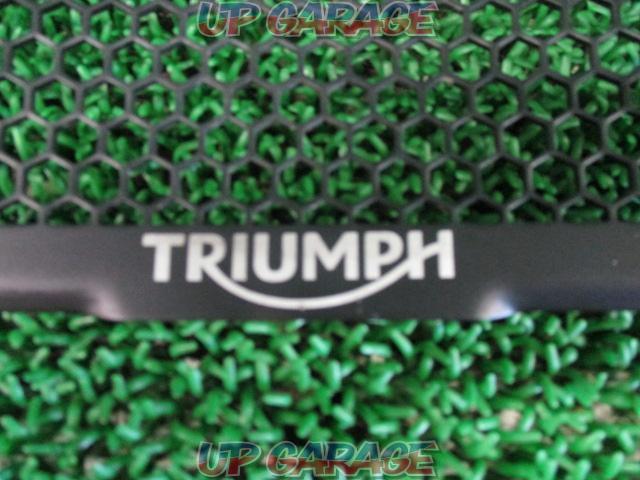 ◆TRIUMPH(トライアンフ) 純正 オプション ラジエターガード Speed Triple(スピードトリプル) 1050 (19年)外し-03