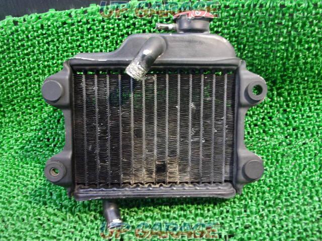 RG50Γ (year unknown)
Genuine radiator-02