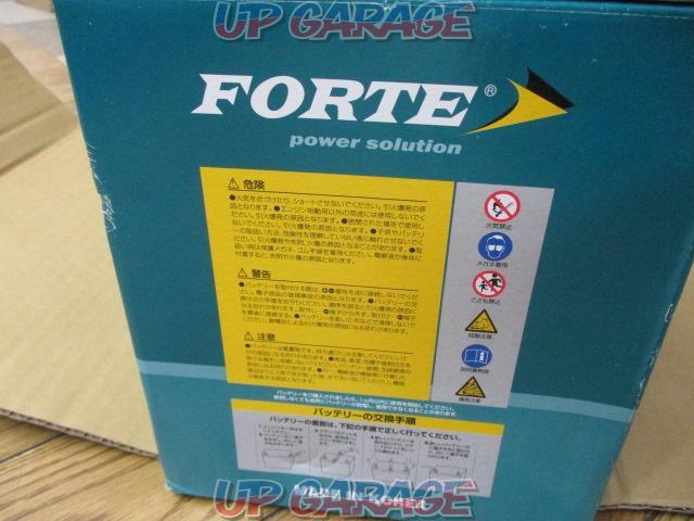FORTE
Battery-03