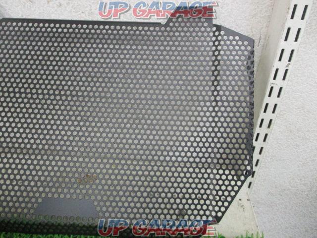 Unknown Manufacturer
Z 900 RS
Radiator core guard-02
