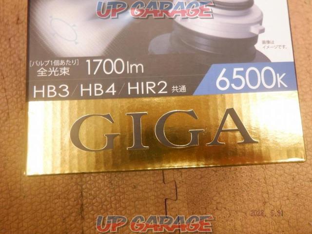 GIGA LEDヘッド&フォグ BW542-05