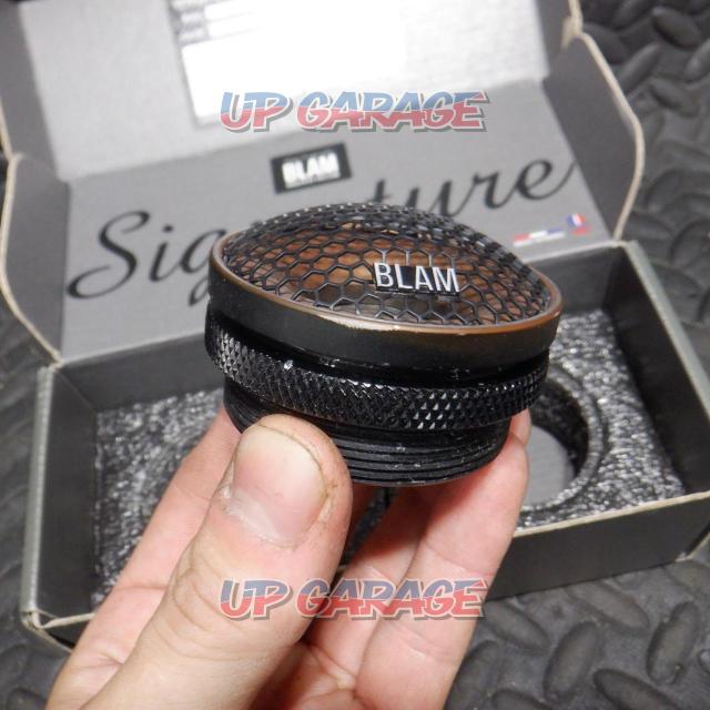 BLAM
Signature
TS25MG57
Made in France
high end tweeter-06