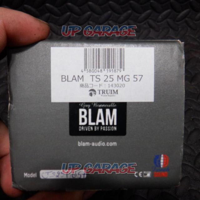 ★BLAM Signature TS25MG57 おフランス製 ハイエンドツィーター♪-09