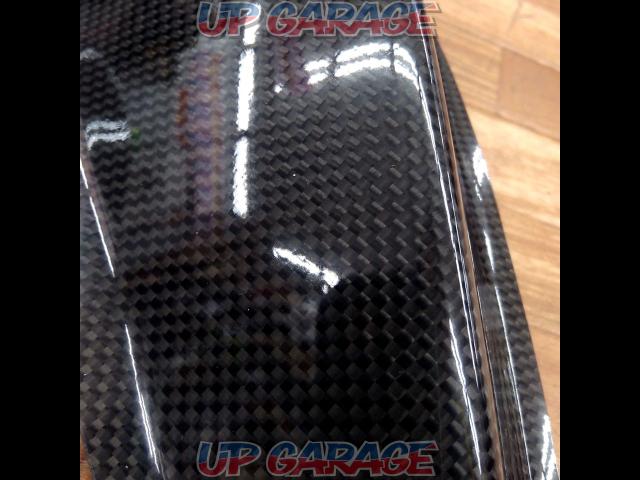 Unknown Manufacturer
carbon
canard cover-03