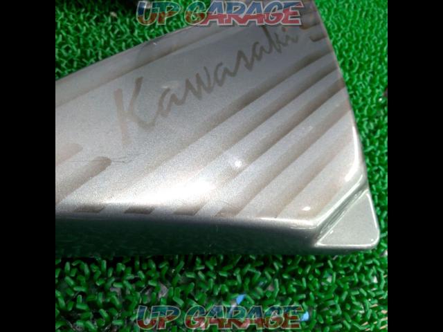 KAWASAKI
Zephyr 400
Genuine
Side cover
*Custom painted product-02