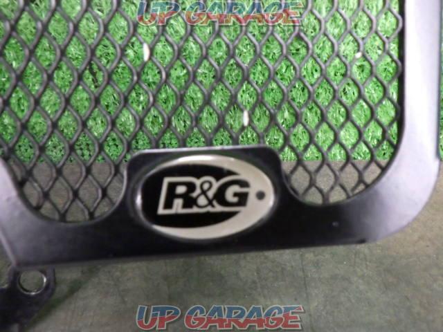 R&G radiator guard
R1200R(17) removed-02