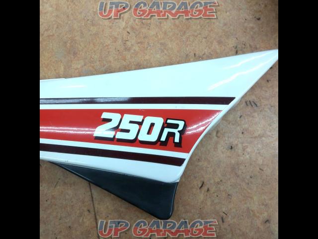 [RZ250R] YAMAHA genuine
Side cover
Right only-02
