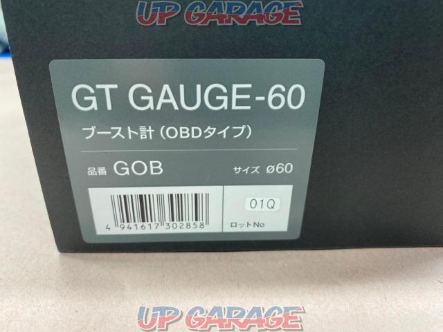 PivotGT
GAUGE-60-08