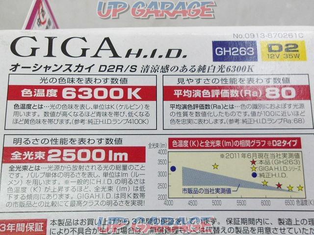 【CAR-MATE】GIGA GH263 HIDバルブ-06