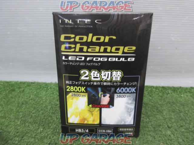 INTEC
Color Change LED Fog Valve-05