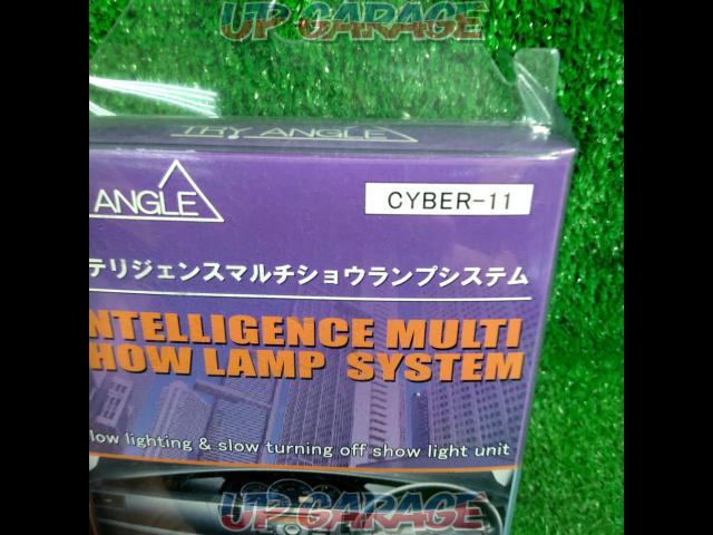 TRYANGLE Intelligence Multi-Show Lamp System-02